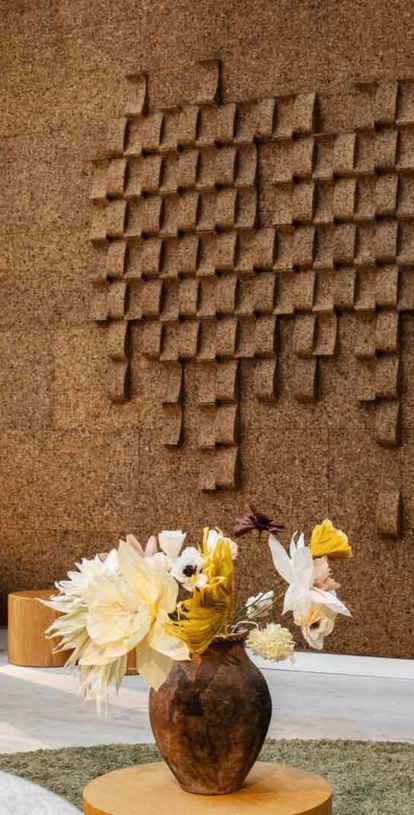 Explore our case studies 