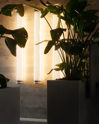The Aarhus office featuring plants and modern lighting