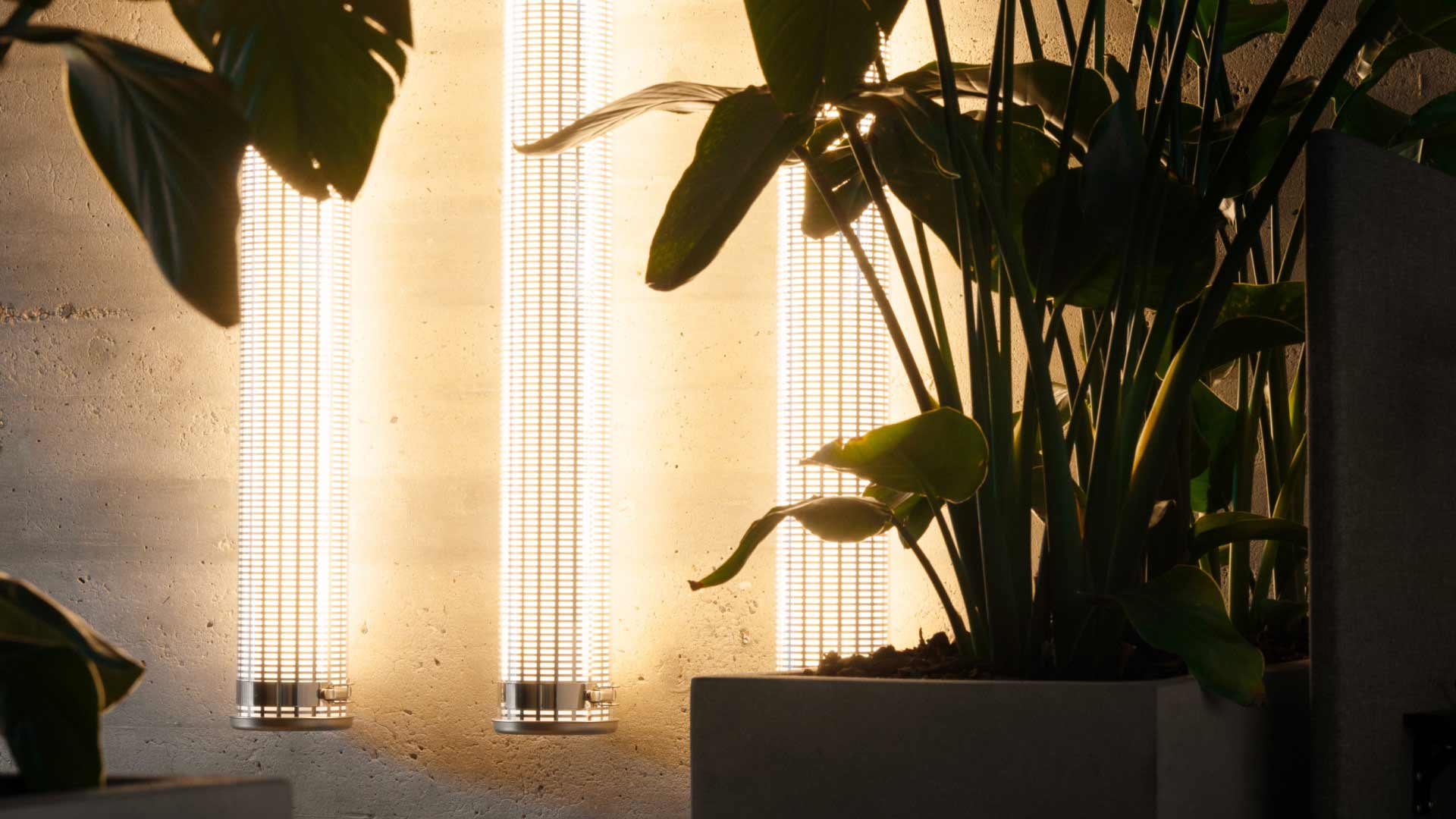 The Aarhus office in Denmark featuring plants and three lights 