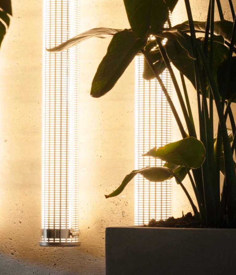 The Aarhus office in Denmark featuring plants and three lights 