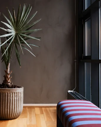 The Aarhus office featuring a beige floor and a big plant