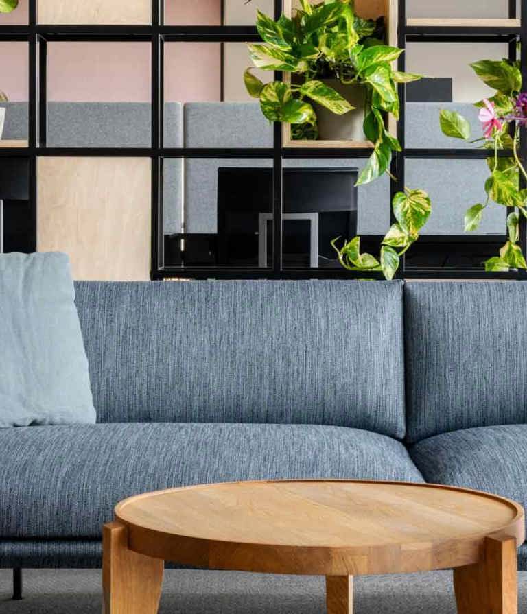 Grey sofa in front of square shelves in the Gdansk office in Poland. 