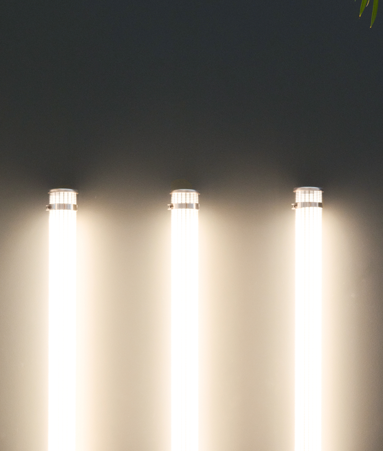 Three lights in 7N's Copenhagen office in Denmark with a tree next to them