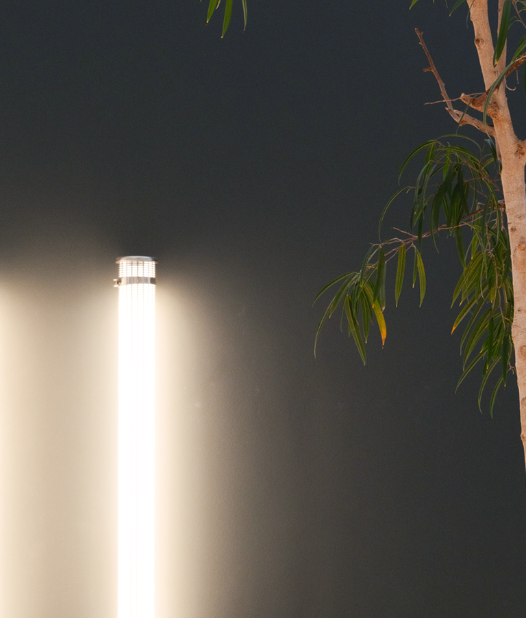 Three lights in 7N's Copenhagen office in Denmark with a tree next to them