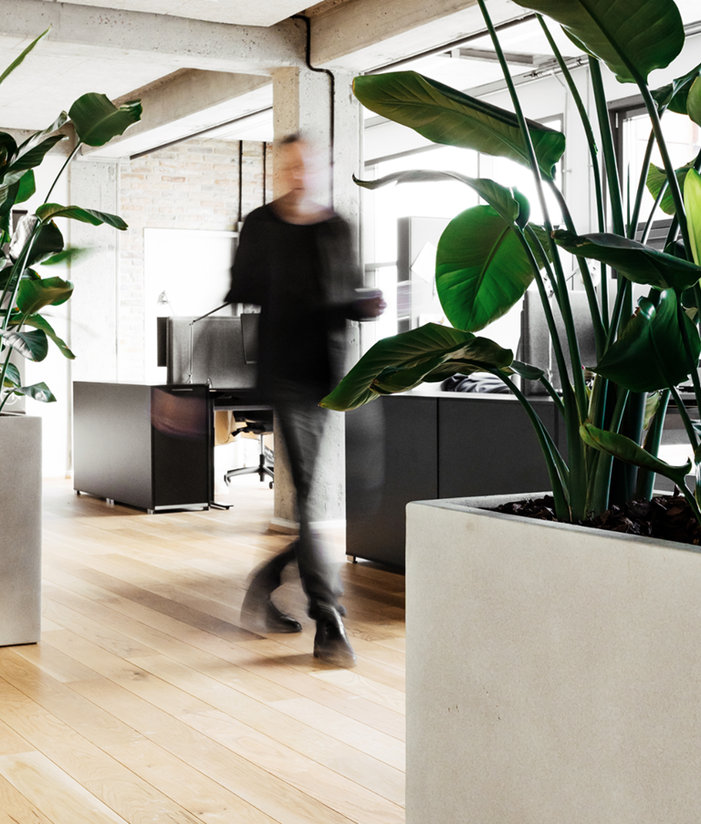 Man walking in an office with plants in the foreground in the Aarhus Office 