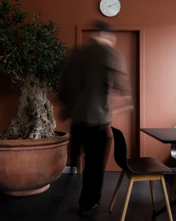 7N office with a male staff member walking beside a big plant